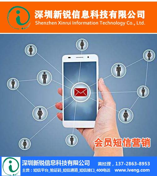 惠州中小企业实现高效沟通的短信接口新选择